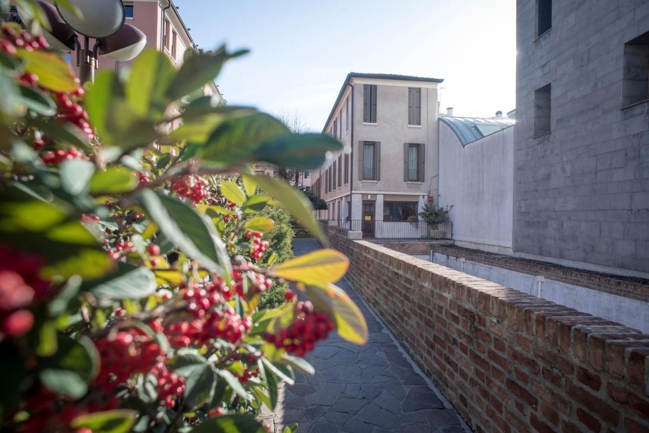 San Francesco Charming Apartment -Тревизо Екстериор снимка
